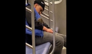 Watch: Rat crawls on sleeping man on New York subway; internet reacts