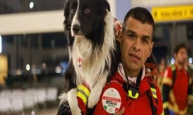 Dogs are being sent to Turkey and Syria after the earthquake. How will they help?