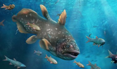 In the wake of history’s deadliest mass extinction, ocean life may have flourished