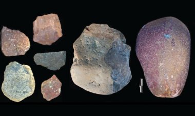 Hominids used stone toolkits to butcher animals earlier than once thought