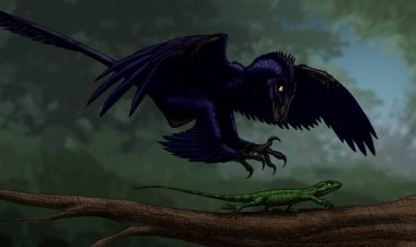 This dinosaur might have used its feet to snag prey in midair like modern hawks