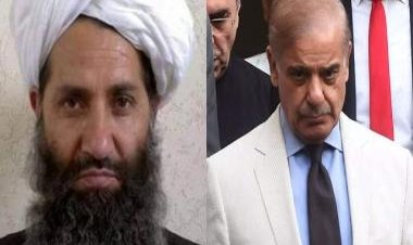 Taliban 'supporting' TTP, providing safe haven in Afghanistan against 'un-Islamic' Pakistan