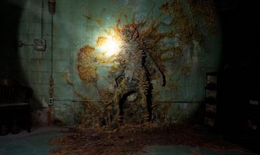 Fungi don’t turn humans into zombies. But The Last of Us gets some science right