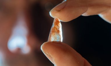 Homo sapiens may have brought archery to Europe about 54,000 years ago