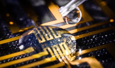 A gel cocktail uses the body’s sugars to ‘grow’ electrodes in living fish