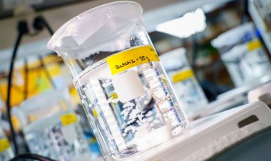 A new biomaterial heals heart attack damage in animals. Humans could be next