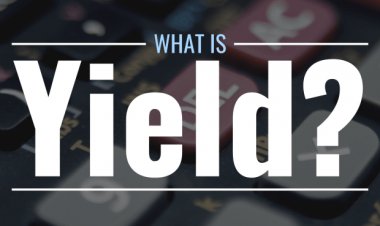 What Is Yield? Definition, Calculation, Types & Examples