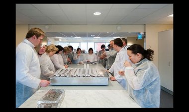 Chemical Stocks Aren't Sexy, But They are Solid: Morningstar