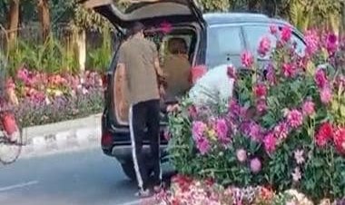 Watch: Gurgaon man comes in luxury car to steal flower pots arranged for G20 summit
