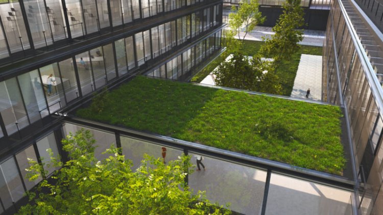 Many plans for green infrastructure risk leaving vulnerable people out