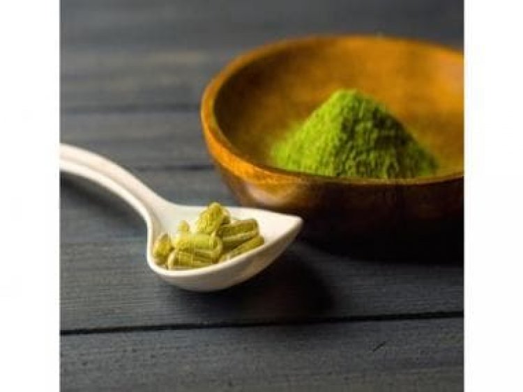 Buy Kratom Online From 5 Best Kratom Vendors In 2023