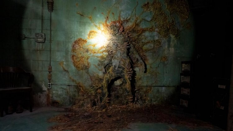 Fungi don’t turn humans into zombies. But The Last of Us gets some science right