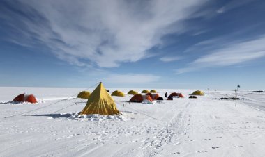 Many Antarctic glaciers are hemorrhaging ice. This one is healing its cracks