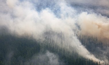 Wildfires in boreal forests released a record amount of CO2 in 2021