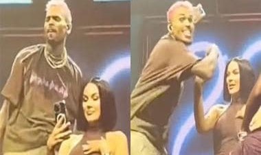 Chris Brown tosses fan's phone in crowd during live performance; Twitter reacts