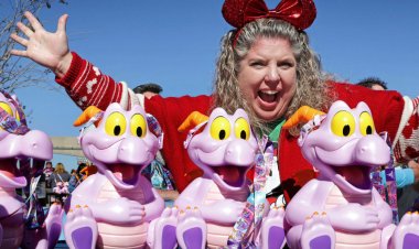Disney, AB InBev Stocks Make Morningstar List of 'the Best to Own'