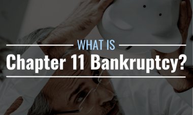 What Is Chapter 11 Bankruptcy? Definition, Pros & Cons