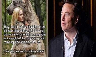 Elon Musk shares a misogynist meme of a bear hugging a woman, says 'The slightest thing can turn into someone violent'