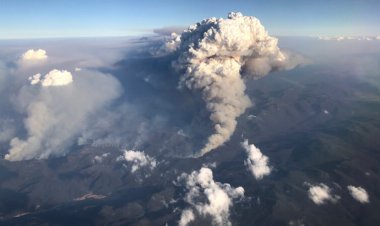 How wildfires deplete the Earth’s ozone layer