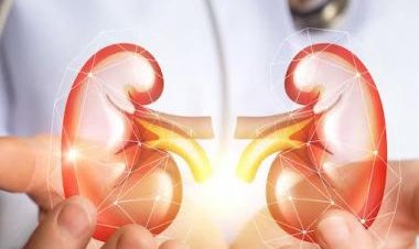 World Kidney Day: Why renal health matters to everybody regardless of age and gender