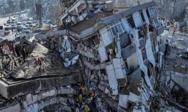 Viral video: Dog and three new-born puppies rescued from rubble month after Turkey earthquake