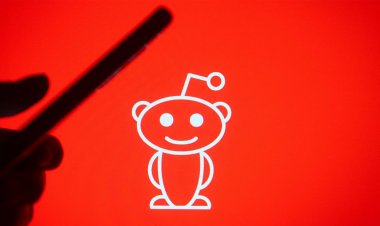 A Shocking Number Of Institutional Investors Get Their Info On Reddit