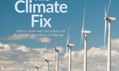 Readers discuss net-zero carbon emissions and glass frogs