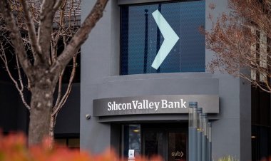 Moody's Failed to Warn About Silicon Valley Bank's Problems