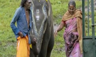 'The documentary's Oscar win has brought cheer in Mudumalai...', says The Elephant Whisperers' Bellie Amma