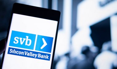 Silicon Valley Bank and Investors Consideration of Tail Risk