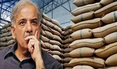 Pakistan: Over 40,000 tons of wheat stolen by dozens of govt officers from warehouses
