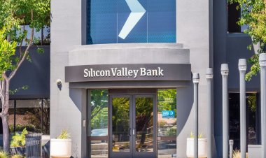 SVB Collapse: Banks Rush to Borrow Money