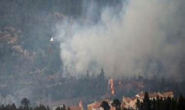 WATCH: Spain's first major wildfire in 2023 engulfs over 7000 hectare; 1500 people evacuated