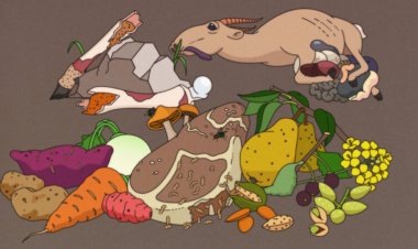 A surprising food may have been a staple of the real Paleo diet: rotten meat