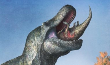 T. rex may have had lips like a modern lizard’s