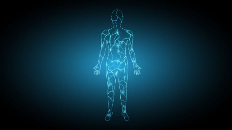 ‘We Are Electric’ delivers the shocking story of bioelectricty