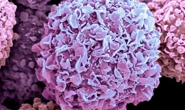 A new battery starves cancer cells of oxygen in mice