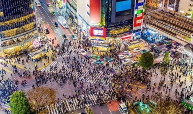 Elon Musk Wants to Sell Something Special to Japan