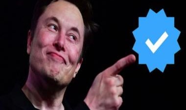 Twitter legacy blue tick: What's happening with Twitter Blue? Not even Musk knows for sure