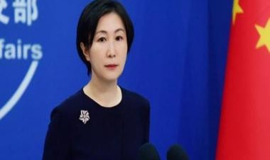 China ‘ready to jointly respond to global challenges’ with Russia, India