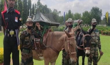 Indian Army to replace mules with robots to take on China at LAC by 2030
