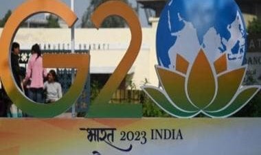 G20 nations urged to invest in Northeast India with 'immense market potential'