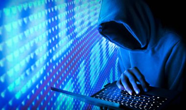 Cybercriminals Taken Down in International FBI Sting