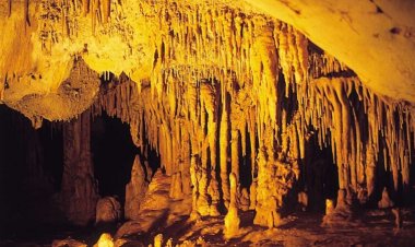 Hair analysis reveals Europe’s oldest physical evidence of drug use