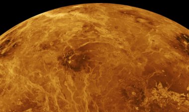 Venus has almost 50 times as many volcanoes as previously thought