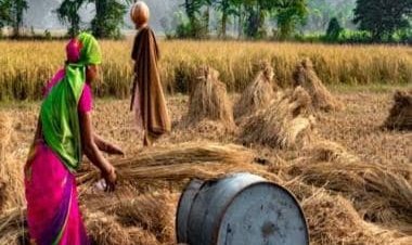 World Health Day: Understanding the impact of our environment on women’s health