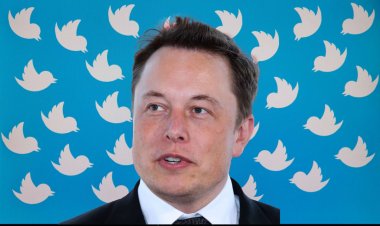 Elon Musk's Coalition Begins to Crack