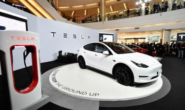 Tesla Takes High Risk Bet on China