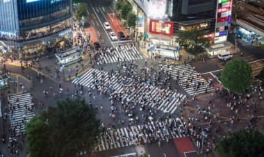 Dense crowds of pedestrians shift into surprisingly orderly lines. Math explains why