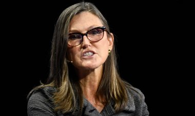 Cathie Wood Watch: Ark Sells Alphabet for First Time Since July